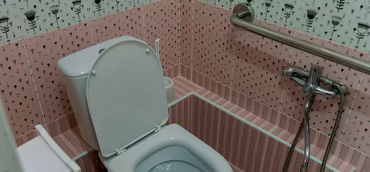 Meeting Diverse Needs With Accessible Restroom Solutions in Pontiac, MI